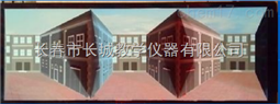 立体视觉壁画