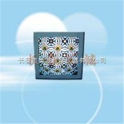 光学分形